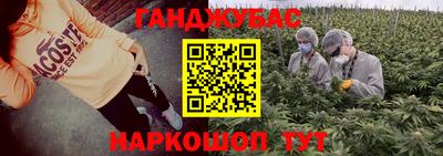 PSILOCYBIN Балахна