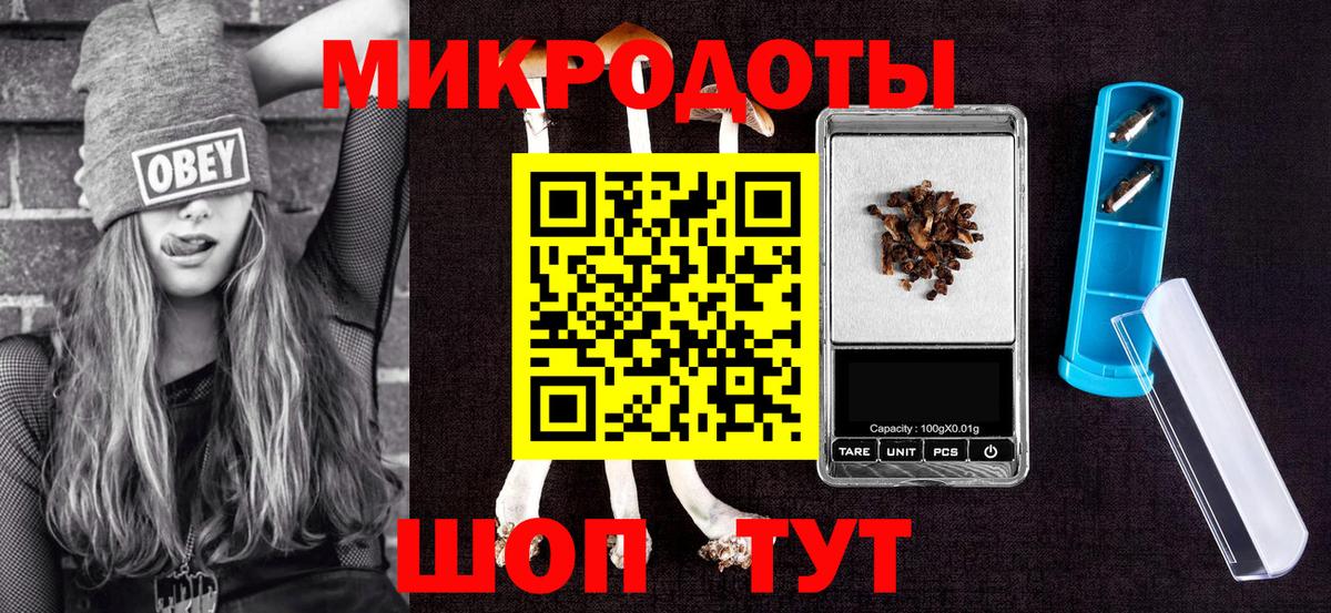 Псилоцибиновые грибы Psilocybe Долгопрудный