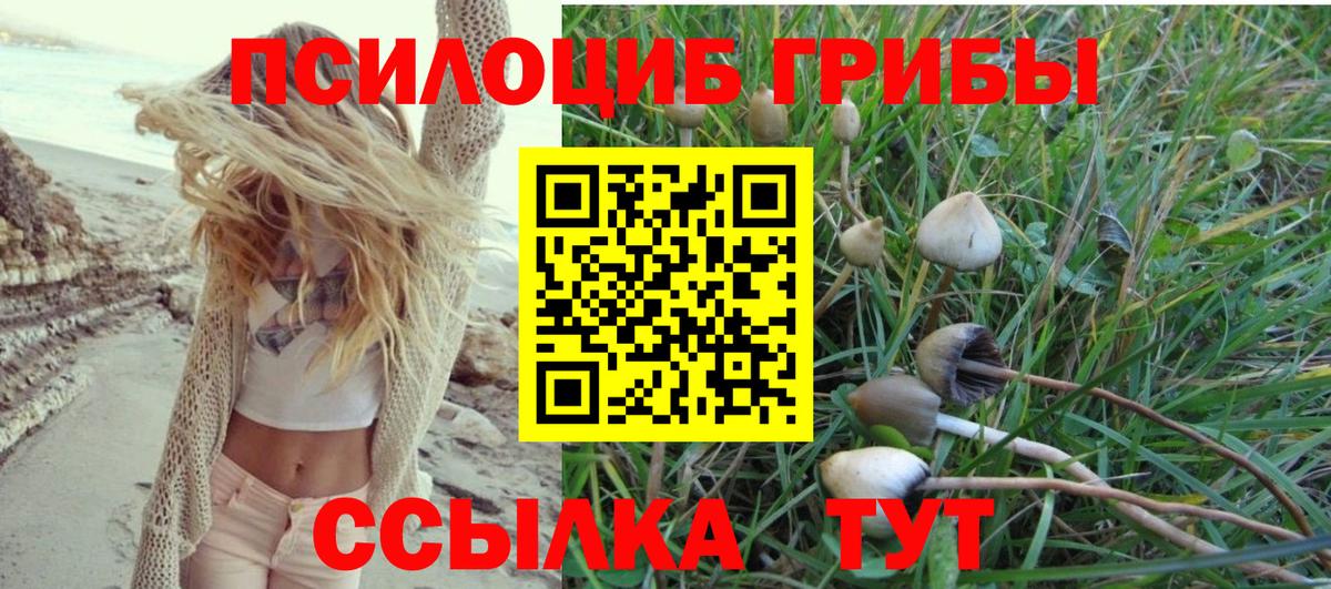 Псилоцибиновые грибы мицелий  Вход с VPN  Долгопрудный 